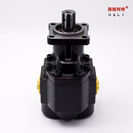 Boxinhuasheng Hydraulic Displacement 100 Ml/R Nsh Gear Pump